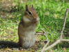 AMY-NATURE-10