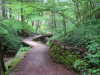 AMY-NATURE-14