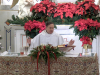 CHRISTMAS-2024-4