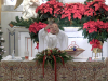 CHRISTMAS-2024-7