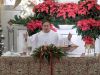 CHRISTMAS-2024-8