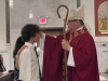 CONFIRMATION-2026-151