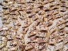 FALL BAKE SALE 201615