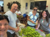 FESTVAL-PREP-2025-1