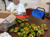 FESTVAL-PREP-2025-2