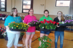 FLOWER SALE 2013