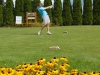 GOLF 2016 25