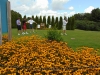 GOLF 2016 64
