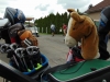GOLF-2019-31