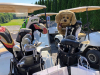 GOLF-2022-1035