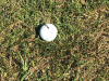 GOLF-2022-1068
