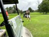 GOLF-2023-79