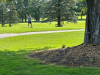 GOLF-TOURNAMENT-2024-48