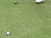 GOLF-2026-79