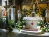 holy-week-2014-26