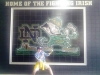 ND VISION 2016 219