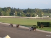 VERNON DOWNS 2015 5