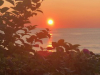 SUNSET-108