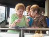 vernon-downs-201406