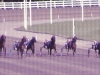VERNON DOWNS 201606