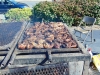 VOLUNTEER BBQ 2015 02