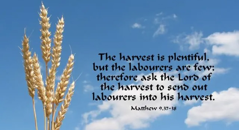 THE WORD OF GOD